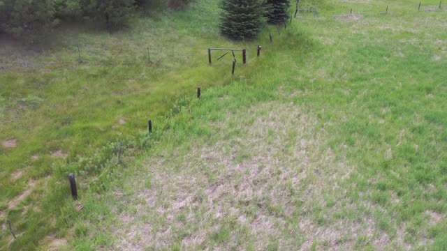 Montana Quarantine-7, 06-24-2021