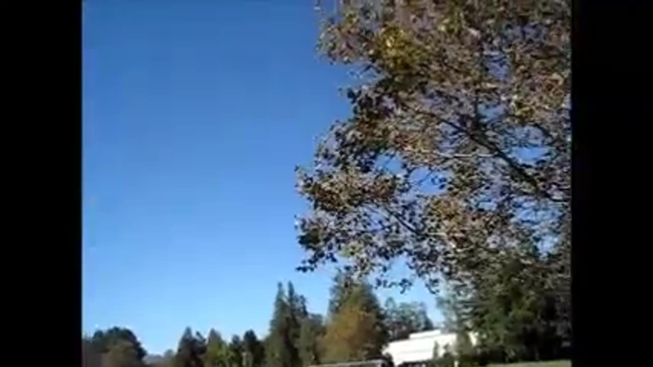 November 2015 a good walk with my mom