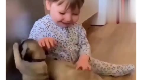 Funny REACTION #35 - Puppies and Baby are playing together