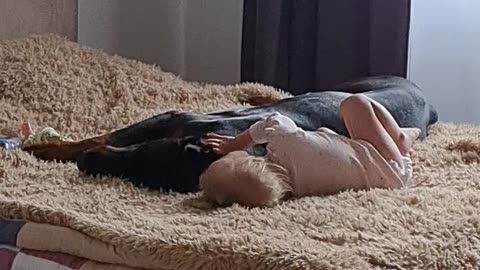 Toddler and Dobermann Playing on the Bed