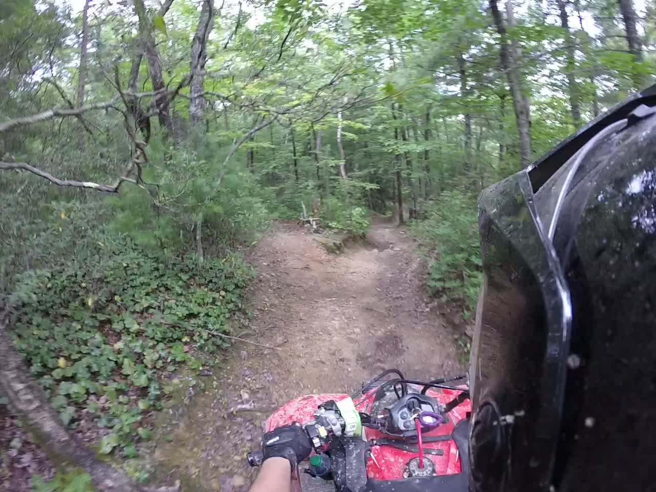 brown mountain day two the trail