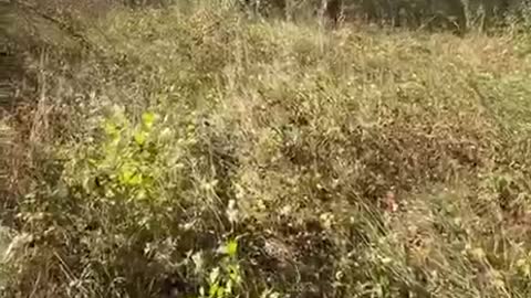 🎥 Footage of battles from Ukrainian defenders.
