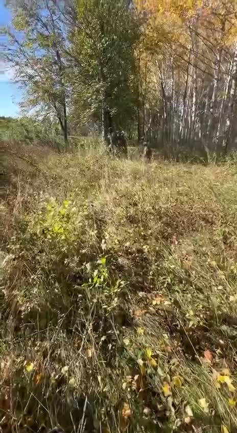 🎥 Footage of battles from Ukrainian defenders.