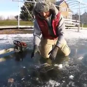 See where the prey and the hunter get stuck