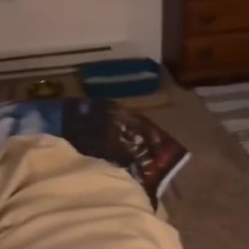 tente não rir facil