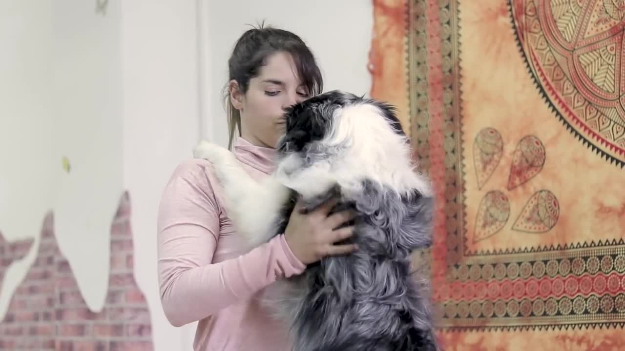 Dog yoga class with owner