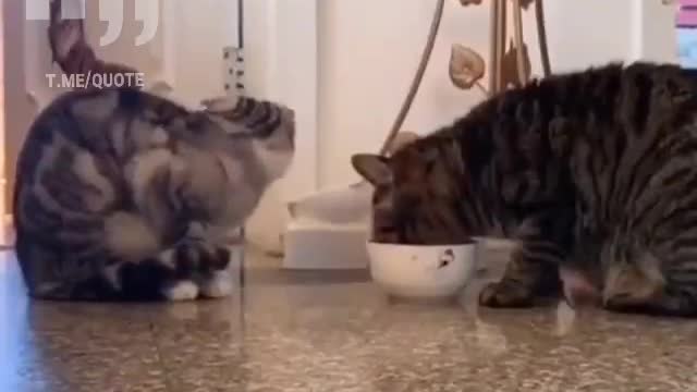 Sharing Is Loving