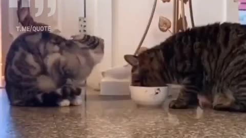 Sharing Is Loving
