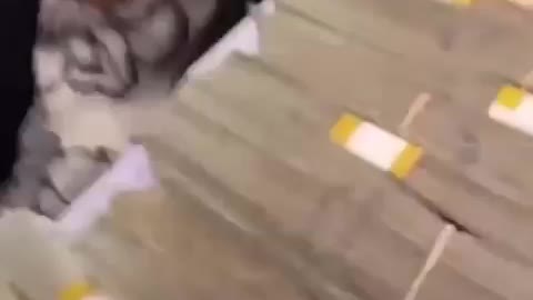 Soulja Boy drops gems
