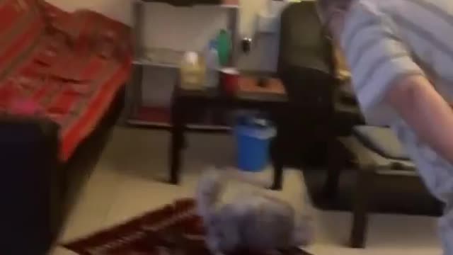 Cat didn't even wait for the mat to touch the floor