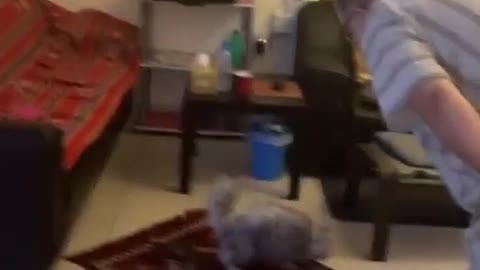 Cat didn't even wait for the mat to touch the floor