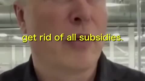 Elon Musk Vehemently Opposes Subsidies . . . All of Them, Including for EVs