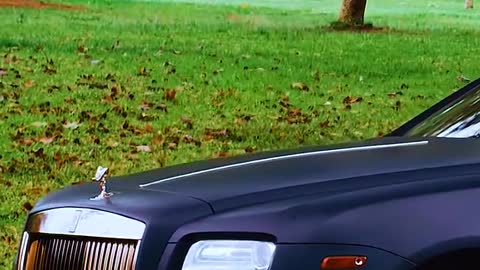 Sports cars are my dream - 3