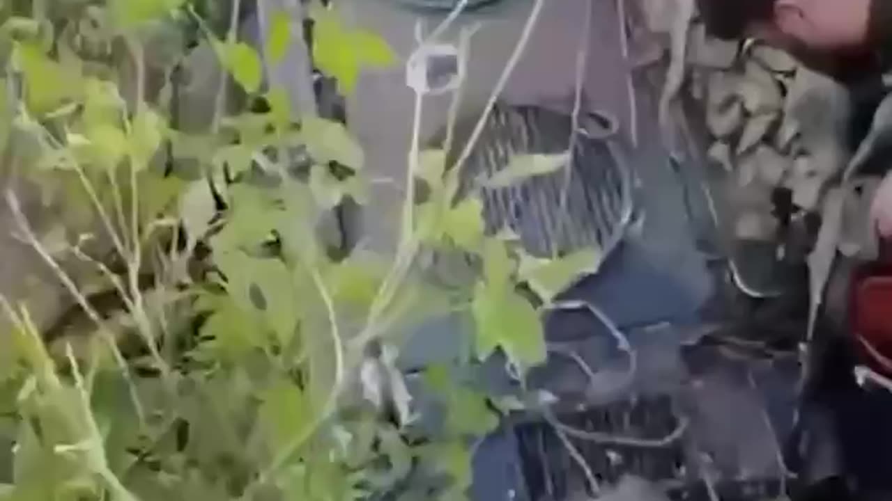 Inspection of the trophy by Russian fighters