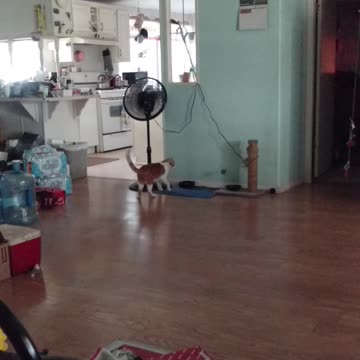 Squeeks is gettin bigger