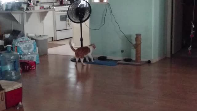 Squeeks is gettin bigger