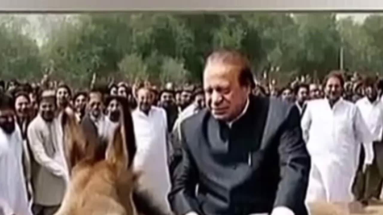 Prime Minister Nawaz Sharif