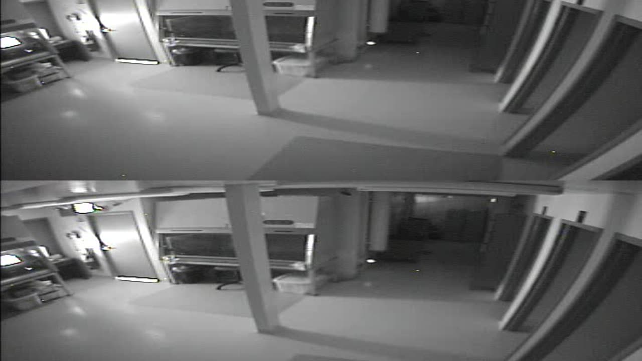 1702CRIB01CribAnalysisArea_2021-01-06_08h00min01s993ms.mp4