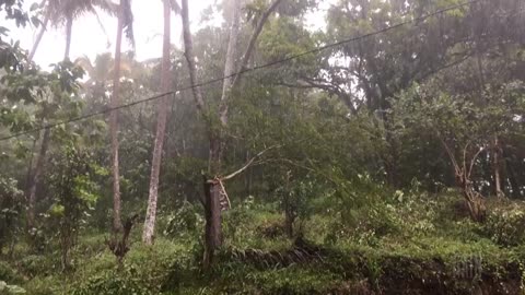 Mystery of Rain in Sri Lanka