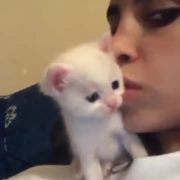 Tiny kitten kisses back 😍😘😍