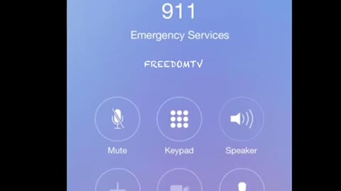 911 Hunter Biden