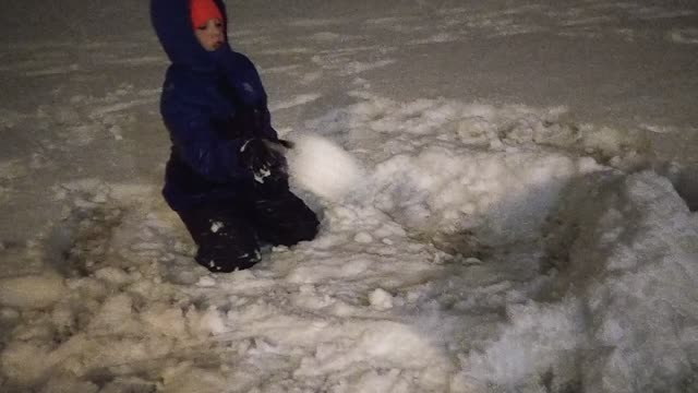 Henry plays in the snow