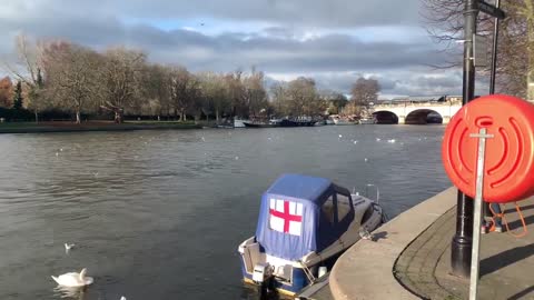 River Thames - Kingston upon Thames