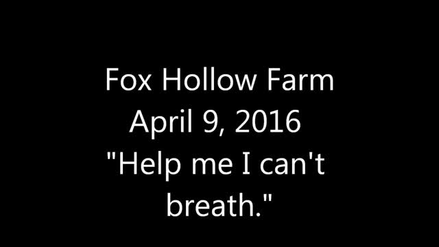 Fox Hollow Farms EVP "I can't breath"