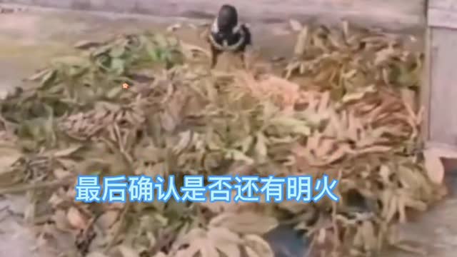 This fire-fighting bird deserves people's commendation for the touching moment of "human warmth"