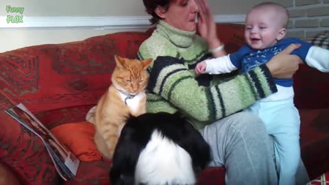 Funny Babies Laughing Hysterically at Cats Compilation (2021)