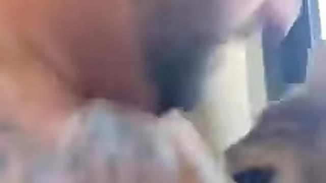 The cat is a dangerous beast