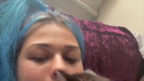 Kitty Tries to Climb into Owners Mouth