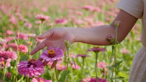 flowers touch by women hands