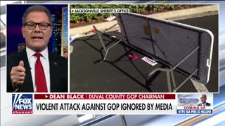 Florida GOP Chairman Dean Black on the van attack