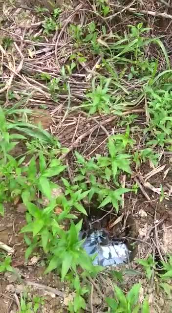 Video lodo en San Gil