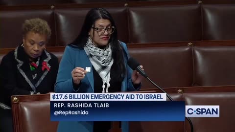 Dem Anti-Semite Rashida Tlaib Loses It On The House Floor Over Aid To Israel