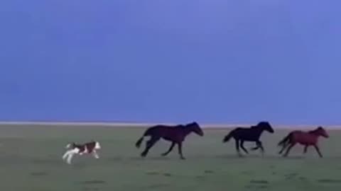 Running with the wrong crowd 😂