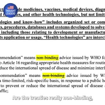 THE PANDEMIC INDUSTRY