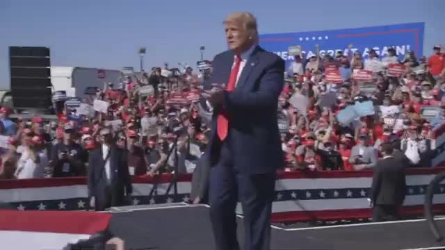 TRUMP WON SAYS NAVARRO IN THIRD ELECTION FRAUD REPORT