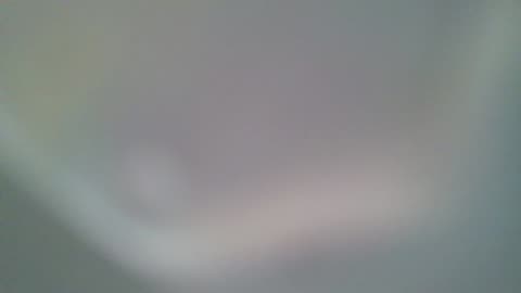 Test 521