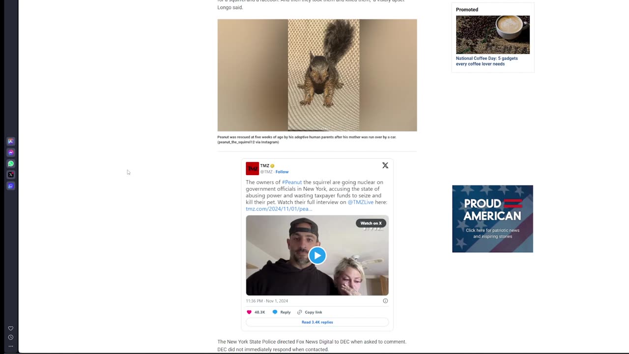 NYC sends 12 people to put down a pet squirrel, we have had ENOUGH of government overreach!