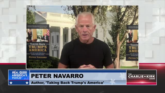 PETER NAVARRO NAMES NAMES - THESE MEN ARE RESPONSIBLE FOR THE LEFT'S TAKEOVER OF THE WHITE HOUSE