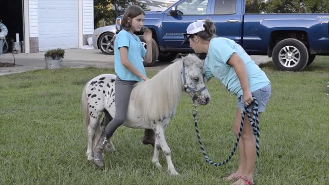 Girl Riding a Pony for the First Time