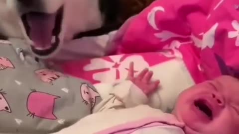 Don't cry baby 🥺