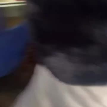 Another weekend, another deadIy "teen takeover" in Chicago. Good thing Mayor