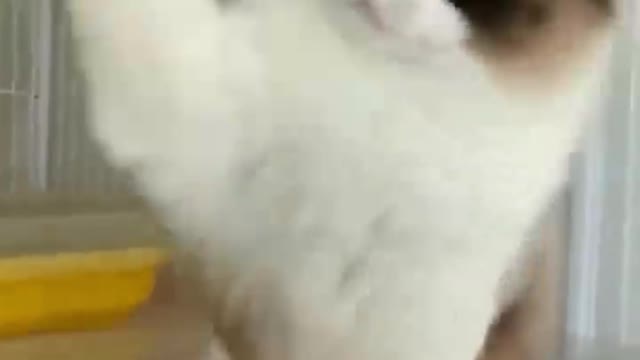 Don't let me catch you