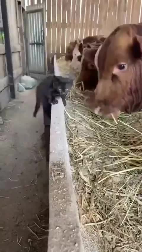 When did you grow up ?!