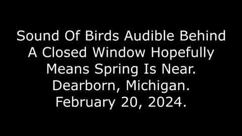 Sound Of Birds Audible Behind A Closed Window Hopefully Means Spring Is Near: Dearborn, MI, 2/20/24