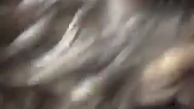 Nsfw red backpack kid can't get stand up in dark