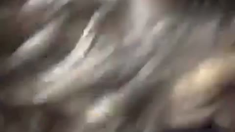 Nsfw red backpack kid can't get stand up in dark